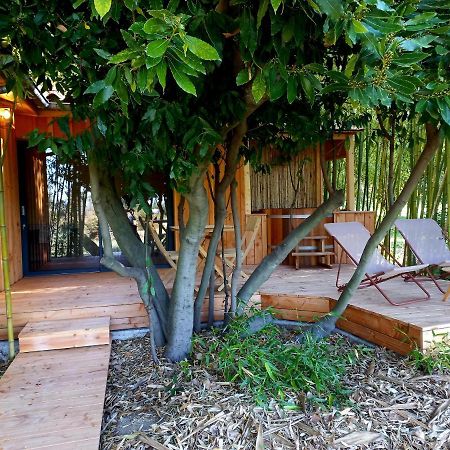Maisonette Et Spa Bois La Bégude-de-Mazenc 外观 照片